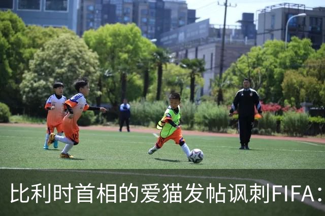 比利时首相的爱猫发帖讽刺FIFA：“红牌？”我照样继续踢！